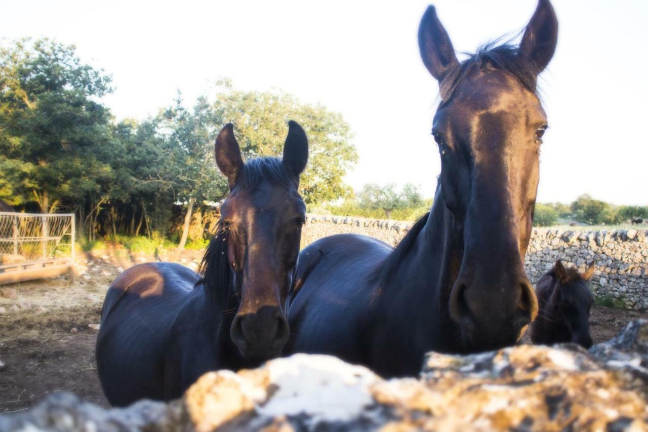 Trulli Sul Vignale In Masseria Santalachicca มาร์ตินาฟรังกา ภายนอก รูปภาพ